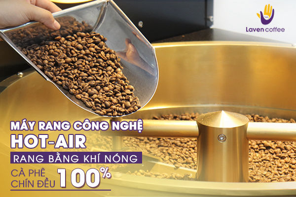 Cà phê decaf của Laven được ứng dụng công nghệ Hot-air cho các hạt cà phê chín đều